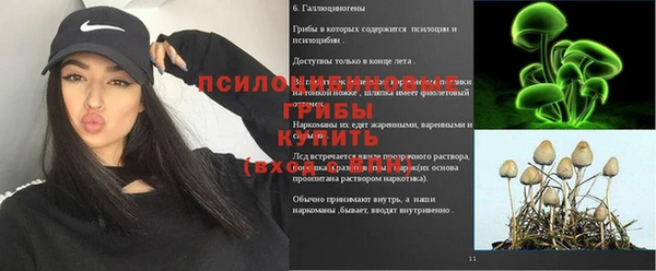 jwh Абаза