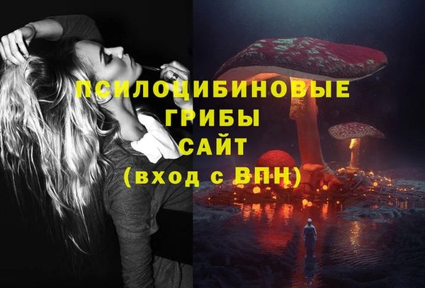 ГАЛЛЮЦИНОГЕННЫЕ ГРИБЫ Покачи